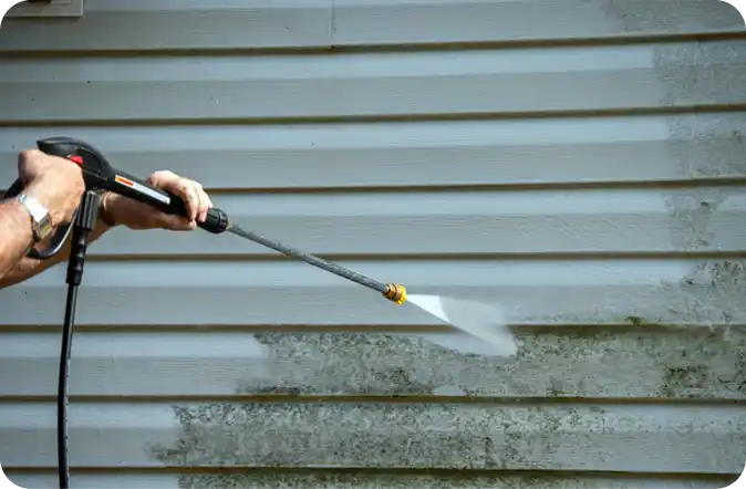 pressure washing pro